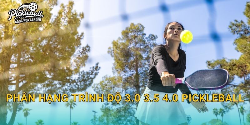 Phân hạng trình độ 3.0 3.5 4.0 pickleball: Tiêu chí nhận biết và cách tự đánh giá