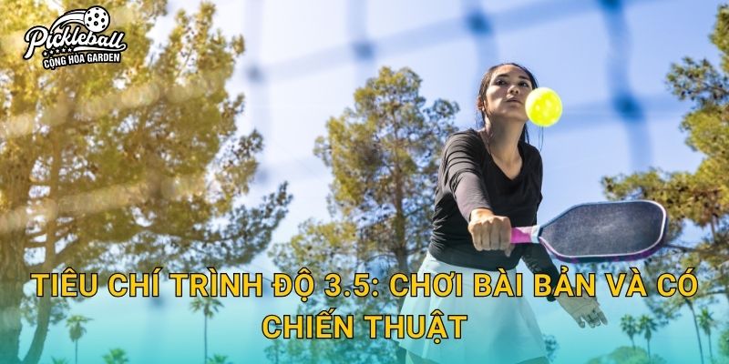 Tiêu chí trình độ 3.5: chơi bài bản và có chiến thuật