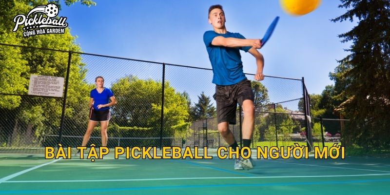 Bài tập pickleball cho người mới: Lộ trình 2 tuần để đánh chắc và lên trình nhanh