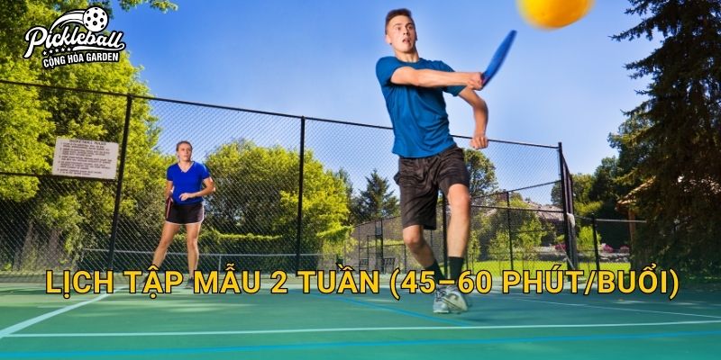Lịch tập mẫu 2 tuần (45–60 phút/buổi)